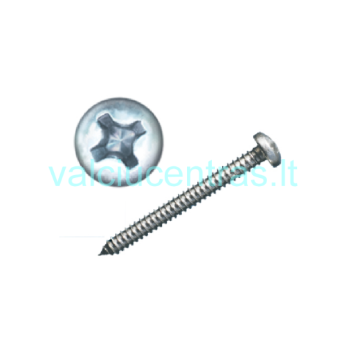 N. plieno DIN 7981 A2 medsraigčiai N. plieno DIN 7981 A2 medsraigčiai